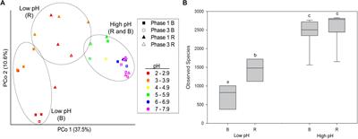 Effect of Re-acidification on Buffalo Grass Rhizosphere and Bulk Microbial Communities During Phytostabilization of Metalliferous Mine Tailings